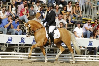 Bei den Reitponyprüfungen auf den DKB-Bundeschampionaten sitzen häufig erwachsene Ausbilder im Sattel, wie hier Jana Freund, die schon zahlreiche Ponys zum Sieg geführt hat. Hier stellt sie FS Mr. Right vor.
